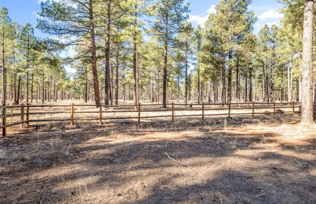 Pinewood - Backs To Forest - Near Downtown! Holiday home *